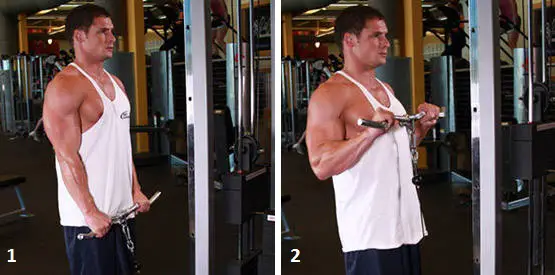 man showing how to do the Reverse Cable Curl Exercise